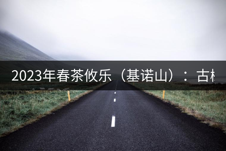 2023年春茶攸樂(基諾山):古樹1200元/公斤,喬木:400-500元/公斤 2023年春茶攸樂(基諾山):古樹1200元/公斤,喬木:400-500元/公斤