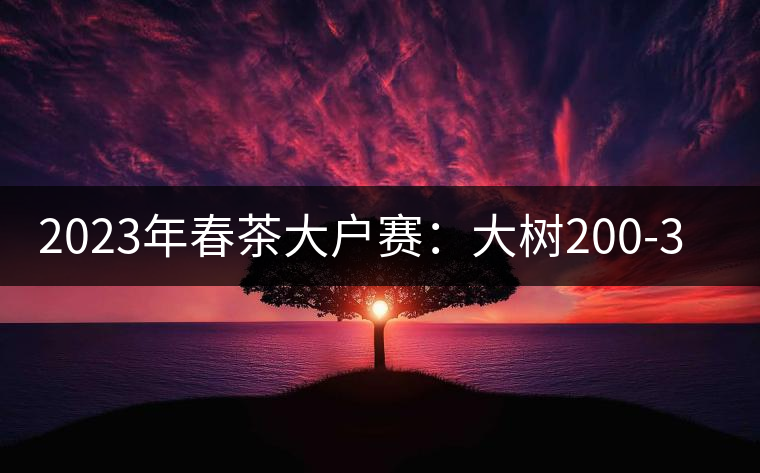 2023年春茶大戶賽:大樹200-300元/公斤,古樹800-1000元/公斤 2023年春茶大戶賽:大樹200-300元/公斤,古樹800-1000元/公斤