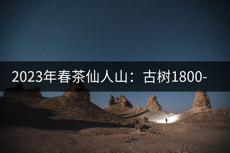 2023年春茶仙人山：古樹1800-2500元／公斤，老曼峨：小樹：600元／公斤 1600-1800元／公斤