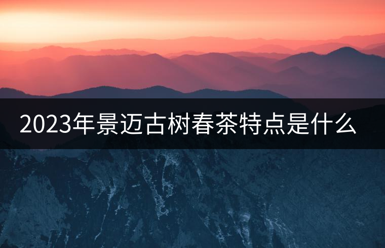 2023年景邁古樹春茶特點(diǎn)是什么？