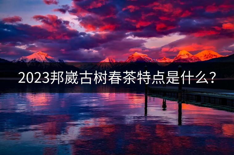 2023邦崴古樹春茶特點是什么？