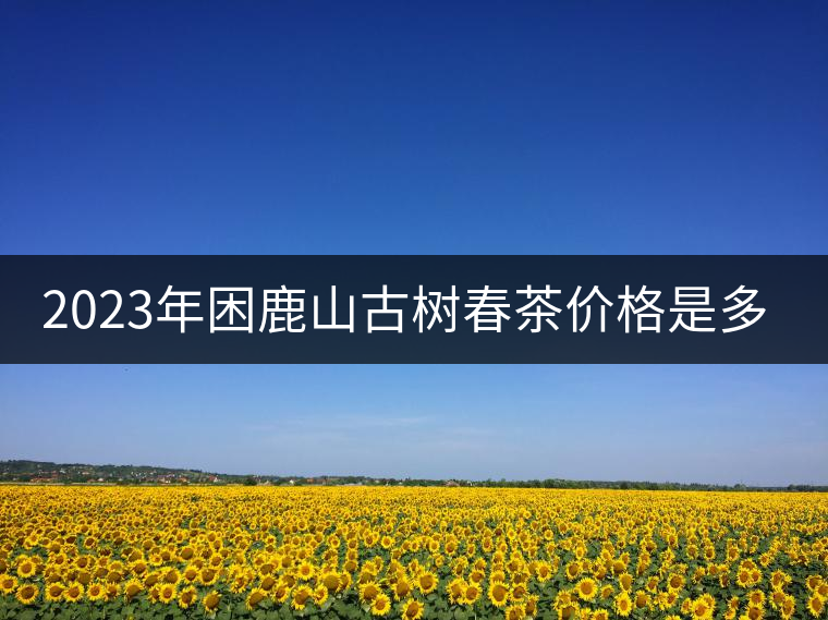 2023年困鹿山古樹春茶價格是多少？