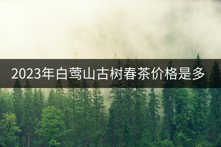 2023年白鶯山古樹春茶價(jià)格是多少？