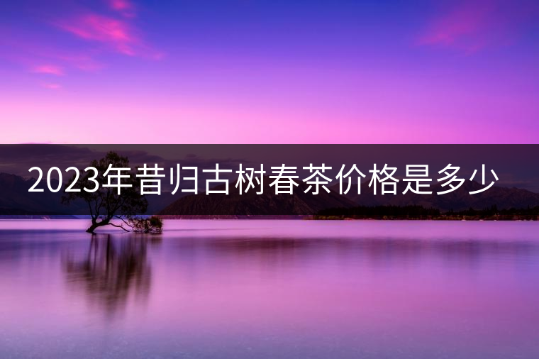 2023年昔歸古樹(shù)春茶價(jià)格是多少？