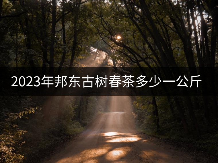 2023年邦東古樹春茶多少一公斤? 2023年邦東古樹春茶多少一公斤?