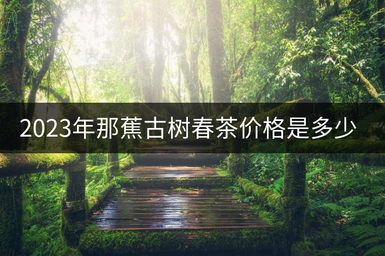 2023年那蕉古樹春茶價(jià)格是多少? 2023年那蕉古樹春茶價(jià)格是多少?