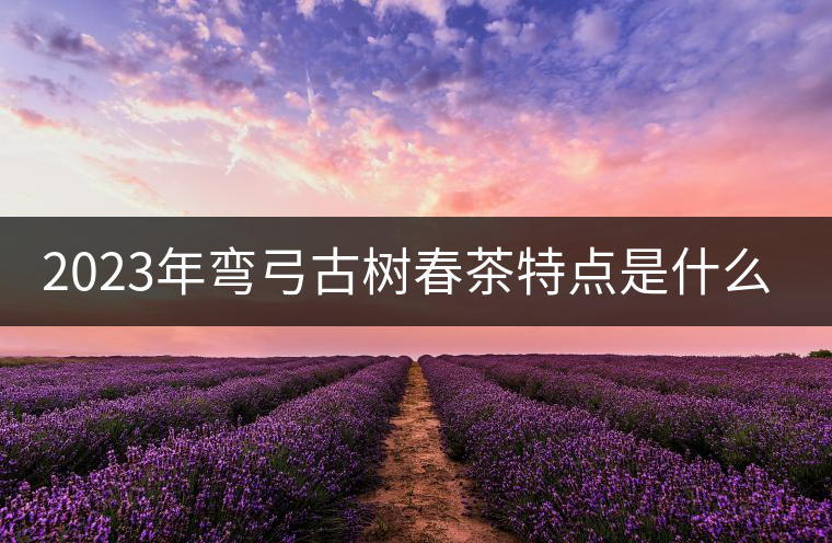 2023年彎弓古樹(shù)春茶特點(diǎn)是什么？
