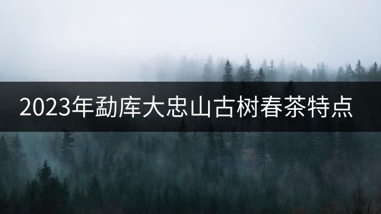 2023年勐庫(kù)大忠山古樹春茶特點(diǎn)? 2023年勐庫(kù)大忠山古樹春茶特點(diǎn)?