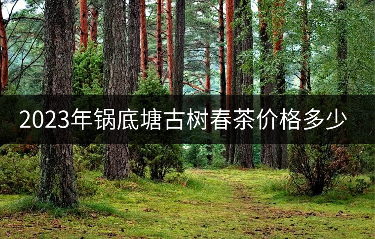 2023年鍋底塘古樹春茶價(jià)格多少? 2023年鍋底塘古樹春茶價(jià)格多少?