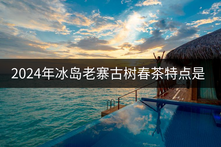 2024年冰島老寨古樹(shù)春茶特點(diǎn)是什么? 2024年冰島老寨古樹(shù)春茶特點(diǎn)是什么?