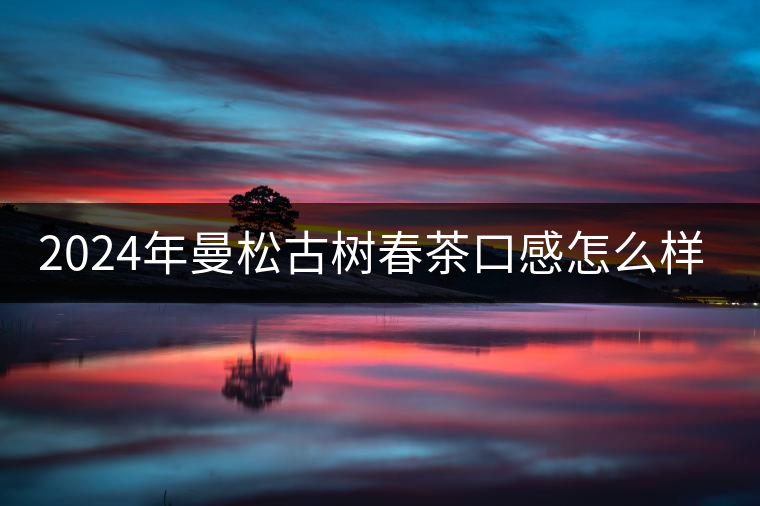 2024年曼松古樹春茶口感怎么樣? 2024年曼松古樹春茶口感怎么樣?