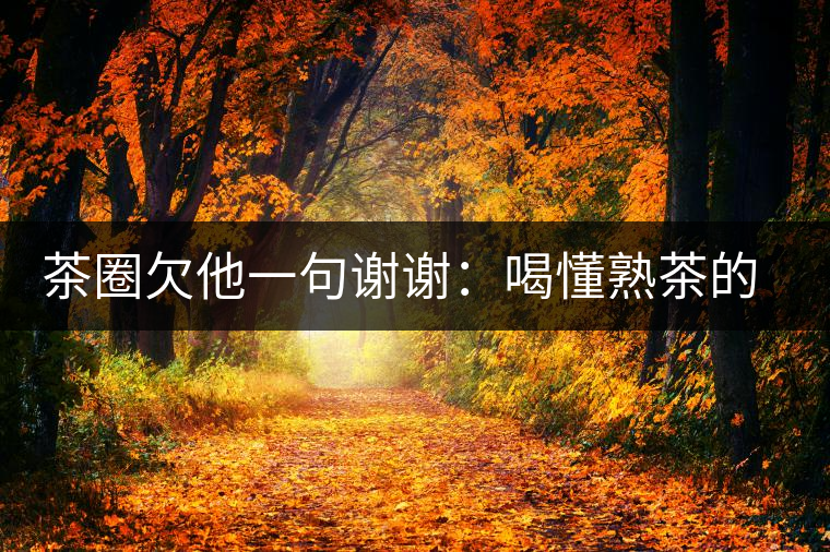 茶圈欠他一句謝謝：喝懂熟茶的人，都該記住陳佩仁這個名字