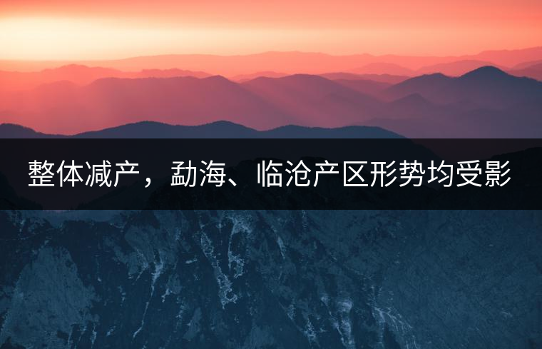 整體減產(chǎn)，勐海、臨滄產(chǎn)區(qū)形勢(shì)均受影響