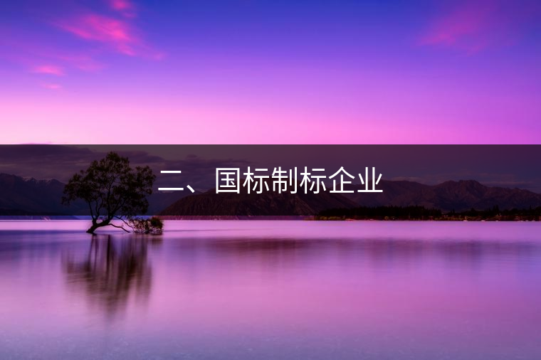 二、國標(biāo)制標(biāo)企業(yè)