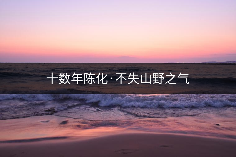 十?dāng)?shù)年陳化·不失山野之氣