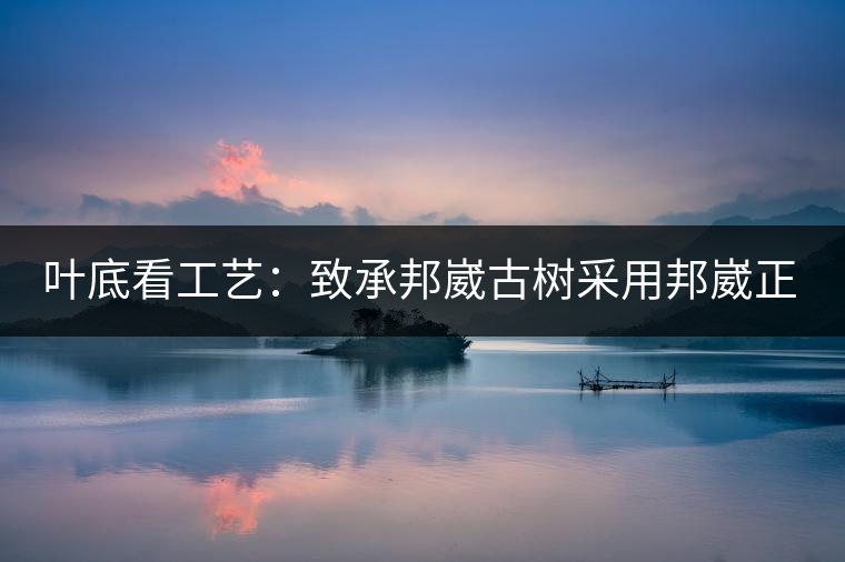 葉底看工藝：致承邦崴古樹采用邦崴正山三百至五百年古茶樹頭春鮮葉。經(jīng)手工殺青，石墨壓制，餅型周正，嚴(yán)守傳統(tǒng)工藝；葉底鮮活，幾乎無糊點(diǎn)，前期殺青較輕，這樣更利于后期轉(zhuǎn)化。