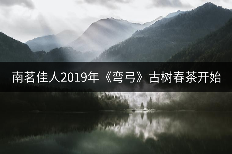 南茗佳人2019年《彎弓》古樹春茶開始預(yù)售啦！