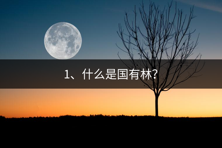 1、什么是國有林？