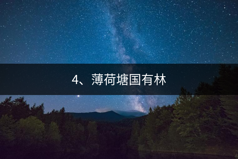 4、薄荷塘國有林