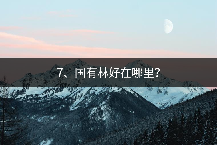 7、國有林好在哪里？