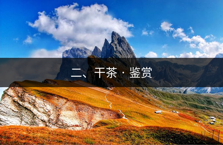 二、干茶 · 鑒賞