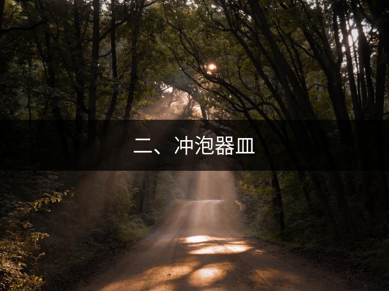 二、沖泡器皿