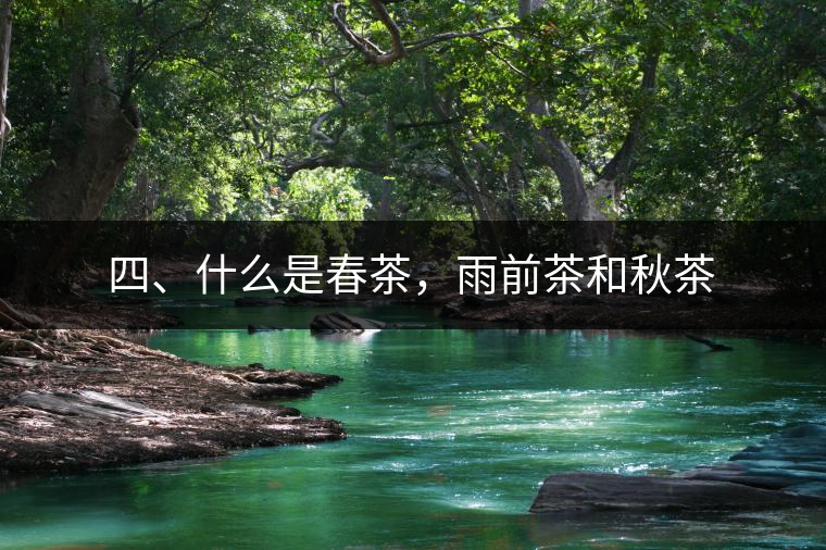 四、什么是春茶，雨前茶和秋茶