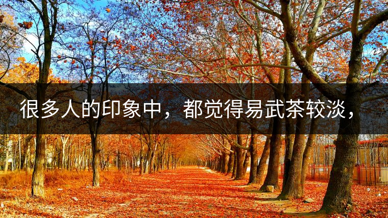 很多人的印象中，都覺(jué)得易武茶較淡，但存放幾年后，再喝又覺(jué)得茶味茶氣變濃了。我們就這個(gè)問(wèn)題，考察了易武古茶山，和走訪了當(dāng)?shù)夭柁r(nóng)。我們發(fā)現(xiàn)這跟易武古樹(shù)茶的茶質(zhì)和茶農(nóng)制茶的傳統(tǒng)工藝有關(guān)。