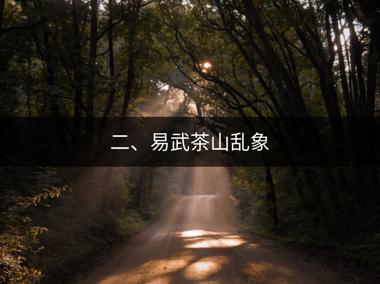 二、易武茶山亂象
