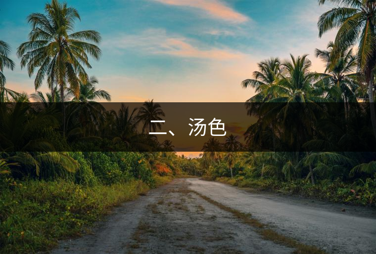二、湯色
