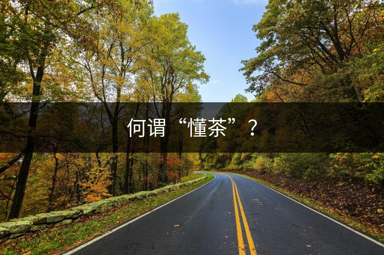 何謂“懂茶”？