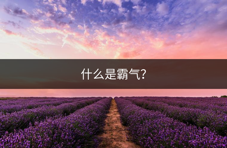 什么是霸氣？