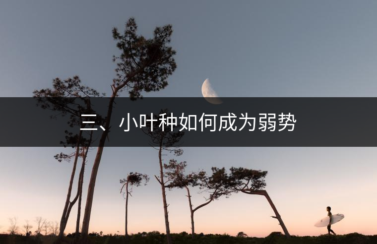 三、小葉種如何成為弱勢