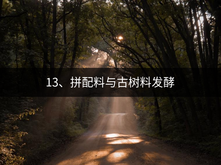 13、拼配料與古樹料發(fā)酵
