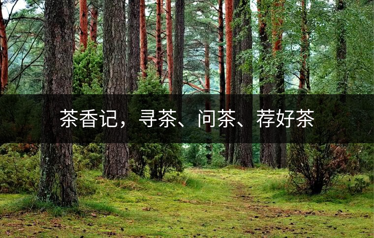 茶香記，尋茶、問(wèn)茶、薦好茶