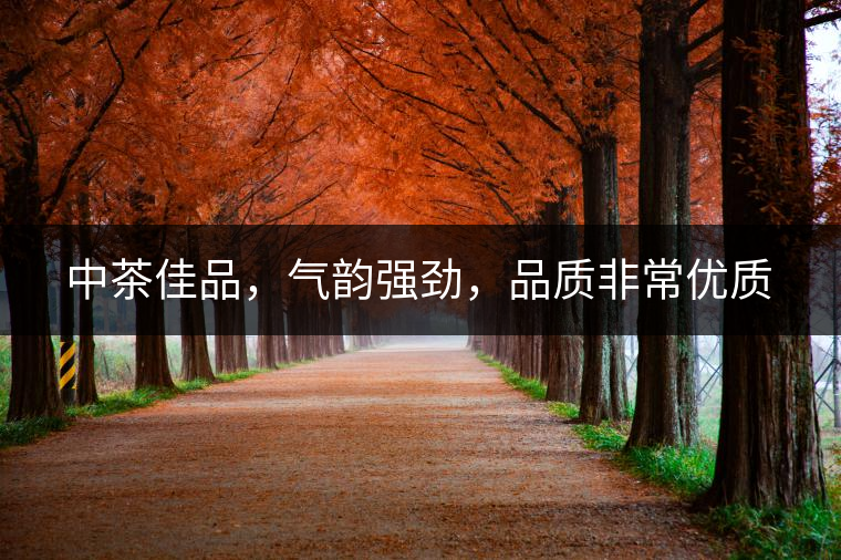 中茶佳品，氣韻強勁，品質非常優(yōu)質