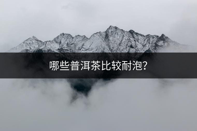 哪些普洱茶比較耐泡？