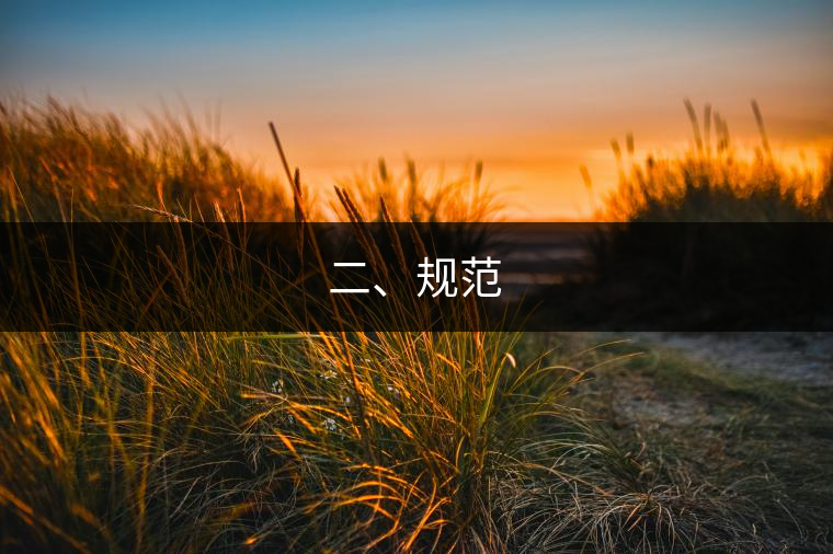 二、規(guī)范