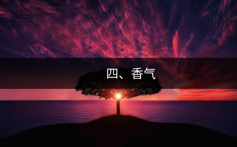 　　四、香氣