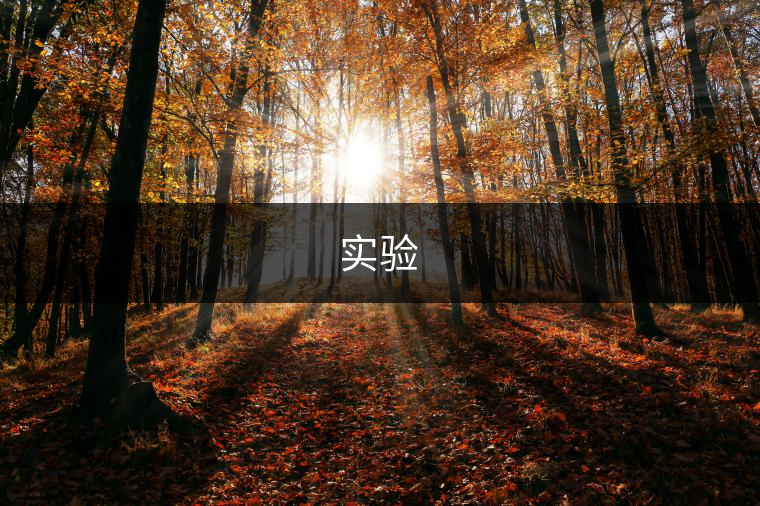 實(shí)驗(yàn)