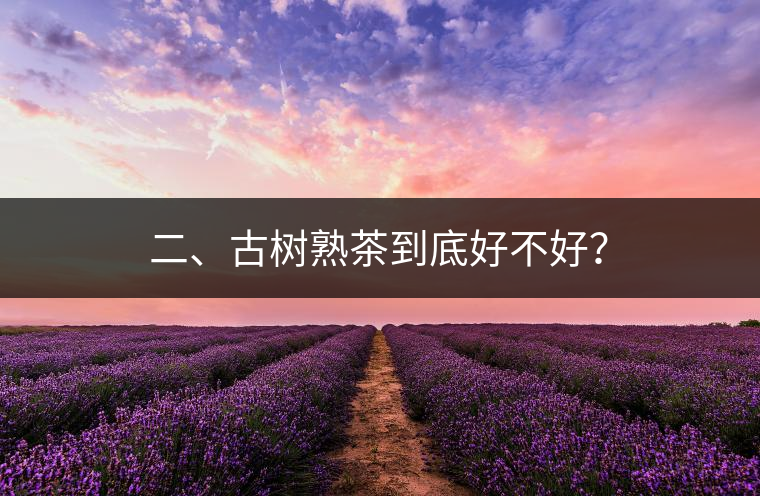 二、古樹熟茶到底好不好？