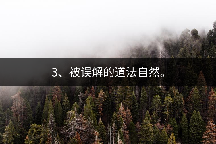 3、被誤解的道法自然。