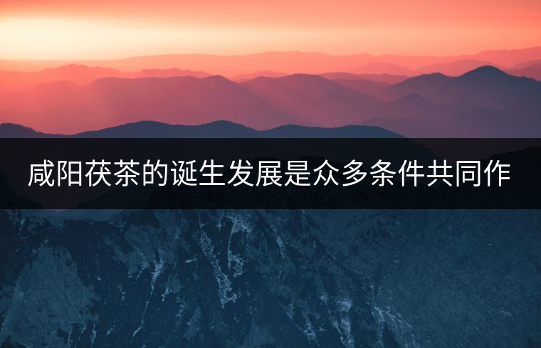 咸陽(yáng)茯茶的誕生發(fā)展是眾多條件共同作用的結(jié)果。