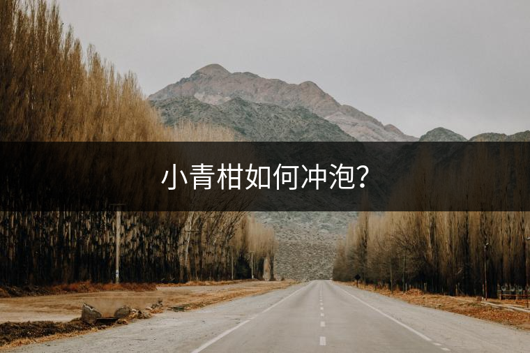 小青柑如何沖泡？