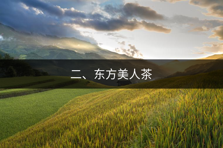 二、東方美人茶