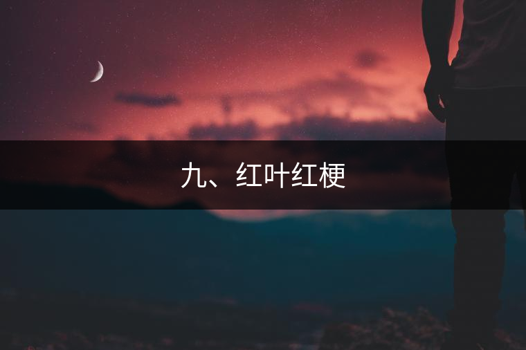 九、紅葉紅梗