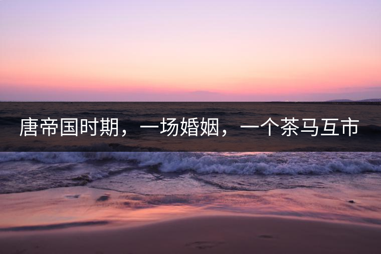 唐帝國時期，一場婚姻，一個茶馬互市，讓這里結(jié)束了漢藏對峙。宋代南茶北，西北茶馬司設(shè)立，因茶而改變的生活日益凸顯。元代八思巴與忽必烈在這一區(qū)域結(jié)盟，為蒙藏兩大民族交往鋪好通衢大道，明代俺答汗與達(dá)賴在山海之間追思各自先人，青海人宗喀巴創(chuàng)建的黃教通過蒙、藏兩大領(lǐng)袖的推廣，締造了影響至今的格局。大清經(jīng)過康、雍、乾三代勵精圖治，滿、藏、蒙各自龐大的疆域第一次完整地統(tǒng)轄在中央帝國的版圖下。