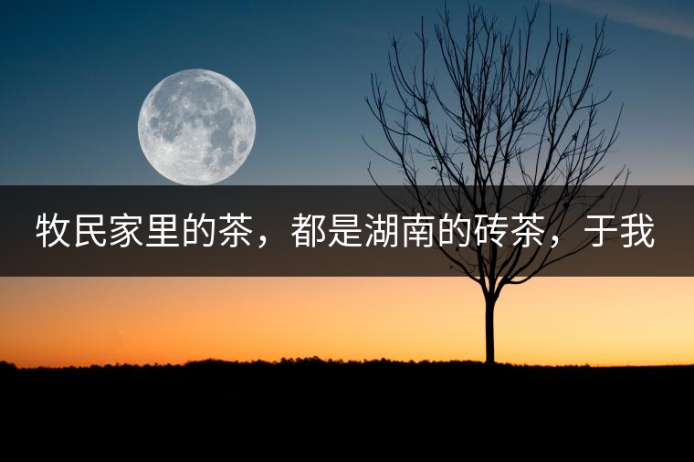 牧民家里的茶，都是湖南的磚茶，于我們而言不見得有多好，它們粗糙得看可見茶梗和樹枝，但于他們來說，卻是每日的生活必需品。端到桌上的茶碗，也是缺了口鋦過青花瓷碗，聞得見修補(bǔ)后的手溫，喝下加過鹽巴的磚茶，一身暖意，融化了深藏在發(fā)底的冰屑，溫暖著身心。