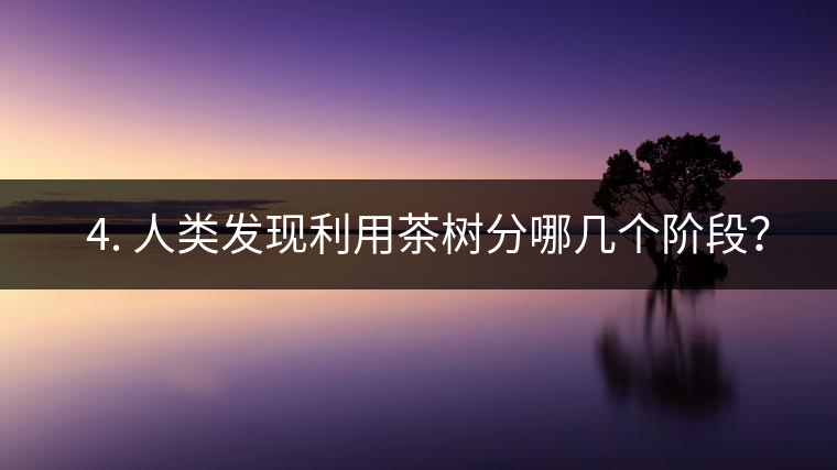 ? 4. 人類發(fā)現(xiàn)利用茶樹分哪幾個階段？