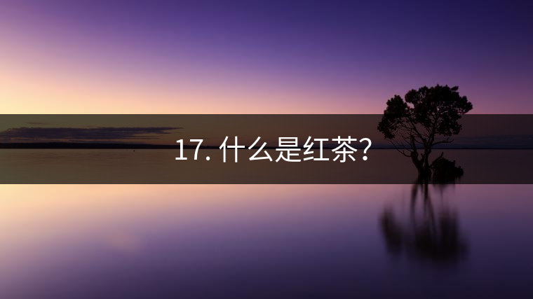 ? 17. 什么是紅茶？